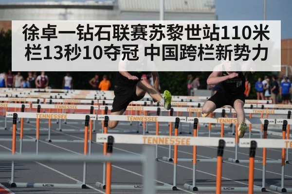 110m hurdles race